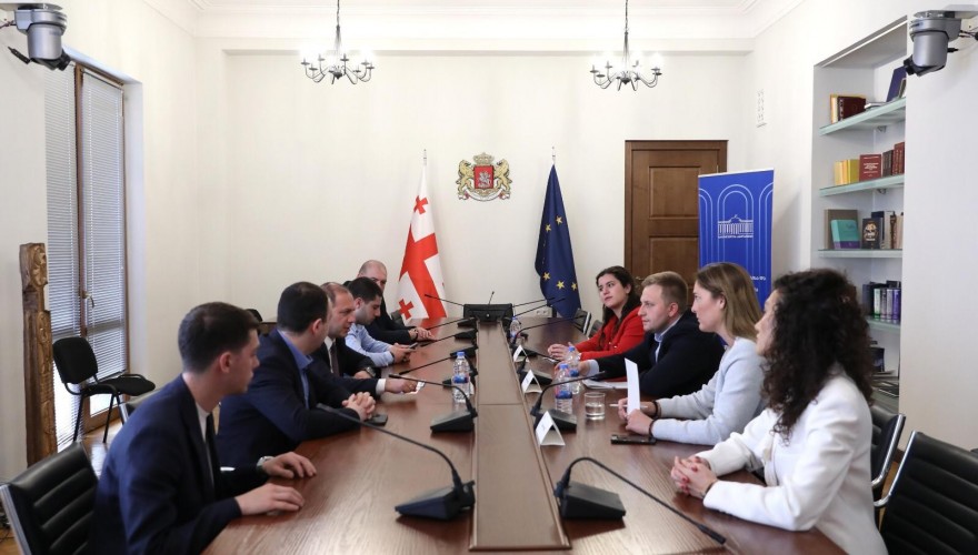გივი მიქანაძე და გიორგი ჩაკვეტაძე უნგრეთის მმართველი პარტიის ახალგაზრდული ორგანიზაციის  წევრებს შეხვდნენ