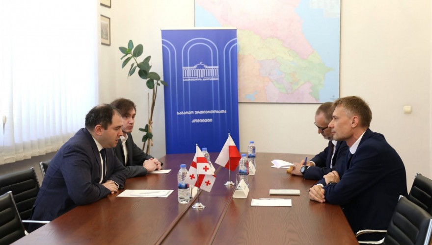 Nikoloz Samkharadze met with the Head of the Diplomatic Mission of Poland
