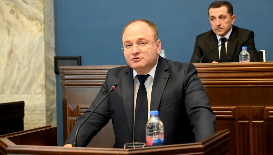 თავდაცვისა და უშიშროების კომიტეტის სხდომაზე საქართველოს სახელმწიფო უსაფრთხოების სამსახურის 2024 წლის საქმიანობის ანგარიში მოისმინეს