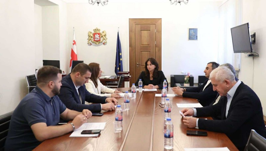 Varlam Liparteliani Elected First Deputy Chair of the Environmental Protection and Natural Resources Committee