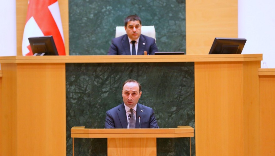 Parliament Hears 2024 Activity Report of the State Security Service of Georgia