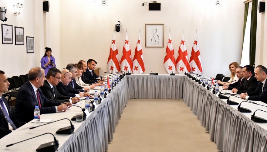 ალექსანდრე ტაბატაძე თურქეთის რესპუბლიკის დიდი ეროვნული კრების უსაფრთხოებისა და დაზვერვის კომიტეტის დელეგაციას შეხვდა