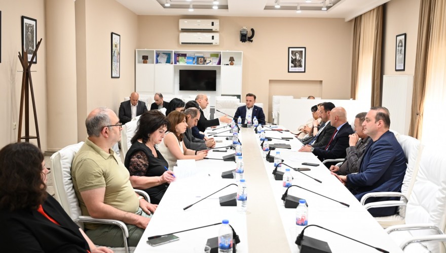 Information on activities and scheduled projects in the diaspora domain introduced to the Diaspora and Caucasus Issues Committee