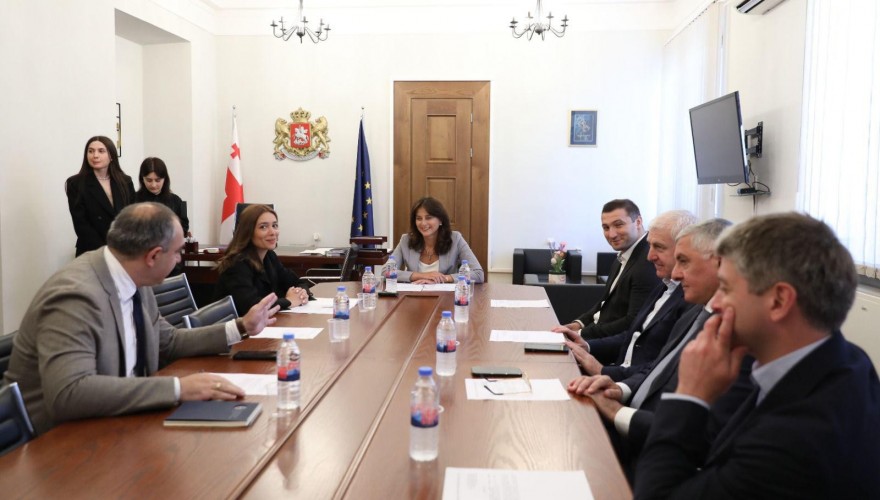 გიორგი ხახუბია გარემოს დაცვისა და ბუნებრივი რესურსების კომიტეტის თავმჯდომარის მოადგილედ აირჩიეს