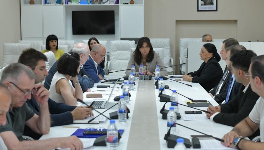 Maia Bitadze meeting to deliberate on the legal package on Pet Animals