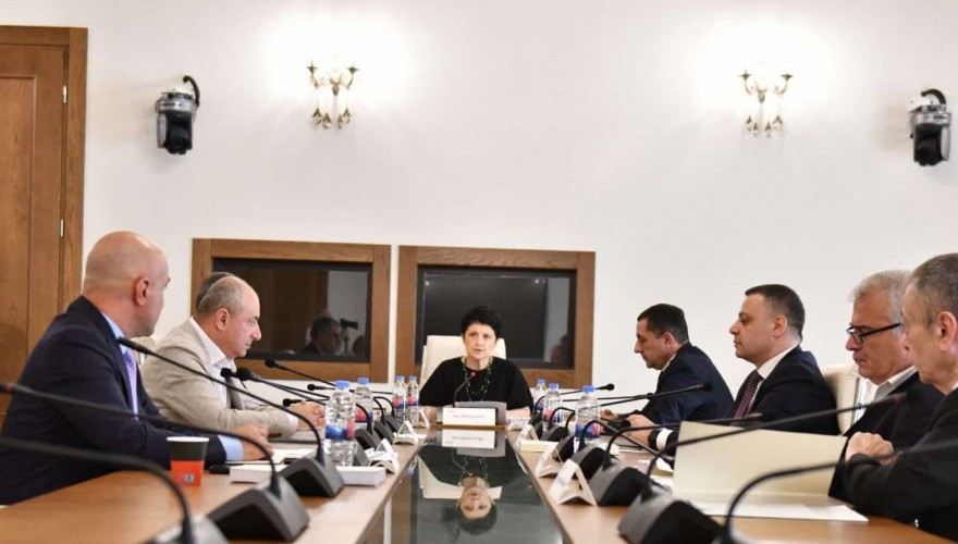 საქართველოს პარლამენტის დროებითმა საგამოძიებო კომისიამ დასკვნა მიიღო