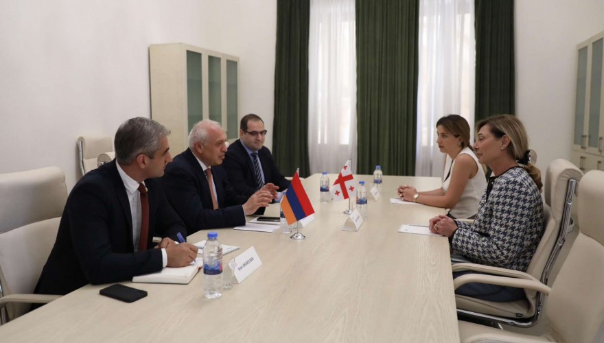 Eka Chichinadze, Culture Committee’s First Deputy Chair meeting with the Ambassador of Armenia