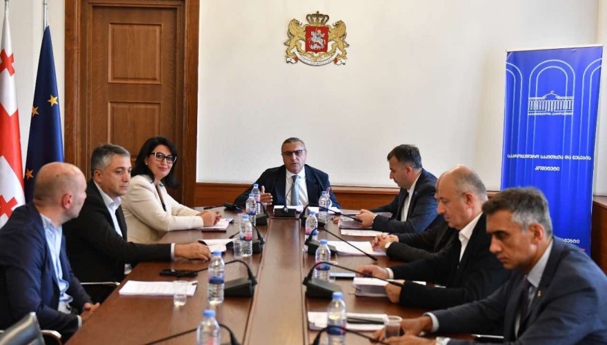 საპროცედურო საკითხთა კომიტეტმა სახელმწიფო უსაფრთხოების სამსახურის უფროსის ანრი ოხანაშვილისთვის უფლებამოსილების ვადამდე შეწყვეტის საკითხი განიხილა