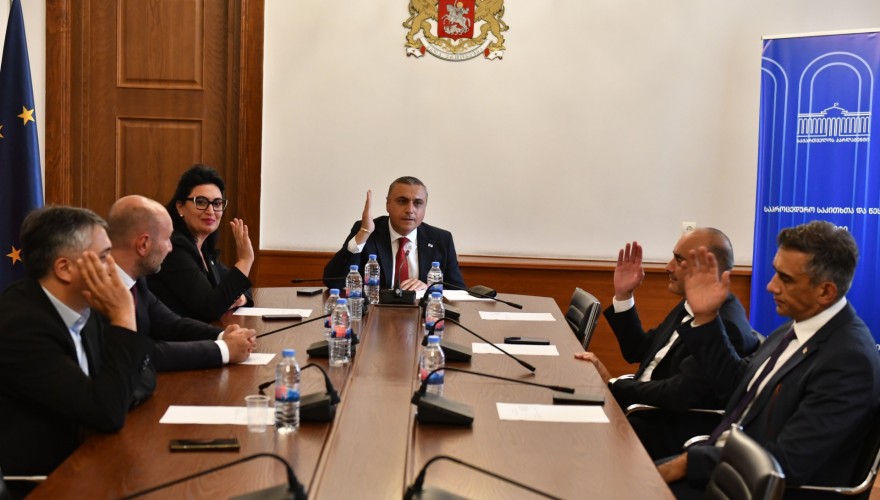 Akaki Aladashvili elected as the First Deputy Chair of the Procedural Issues Committee