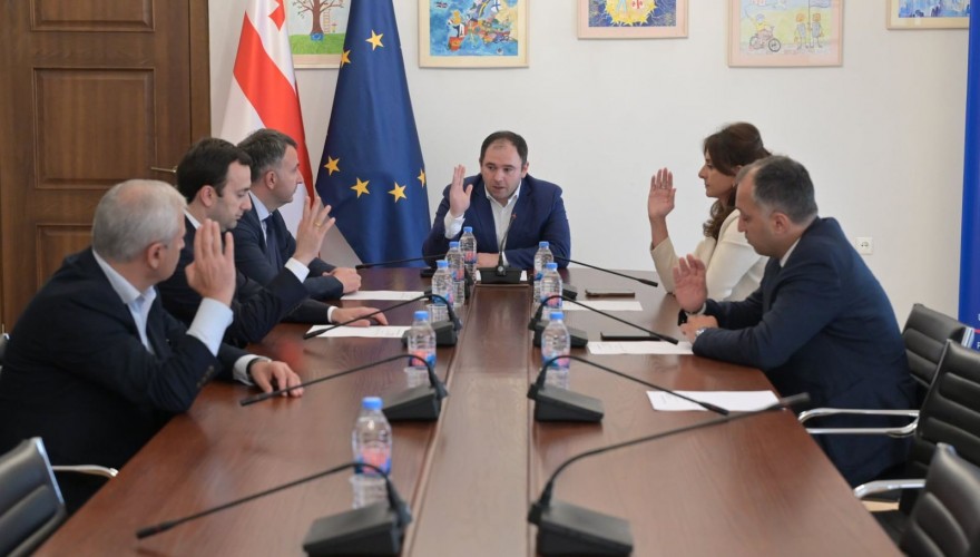 Irakli Shatakishvili elected as the First Deputy Chair of the Foreign Relations Committee