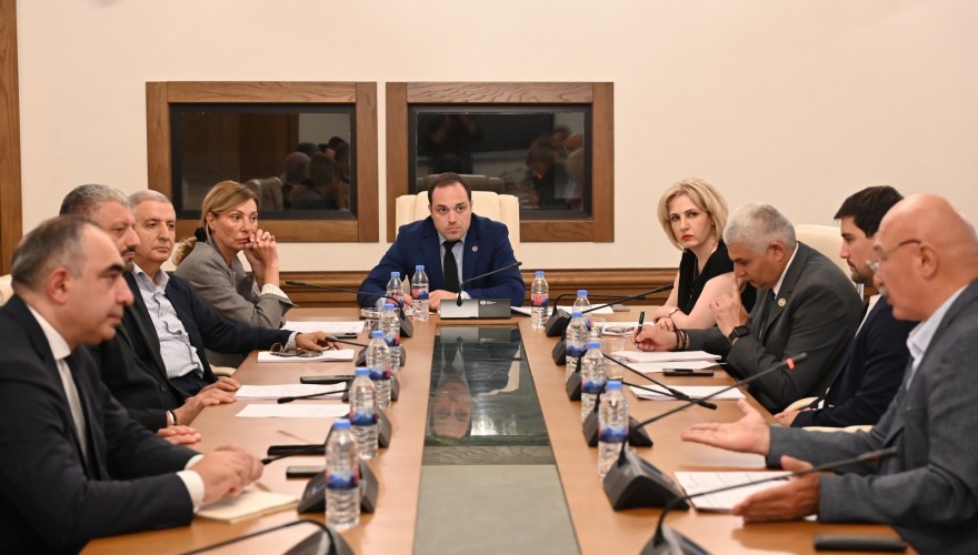 The Report of Public Broadcaster for 2024 introduced to the Culture Committee 