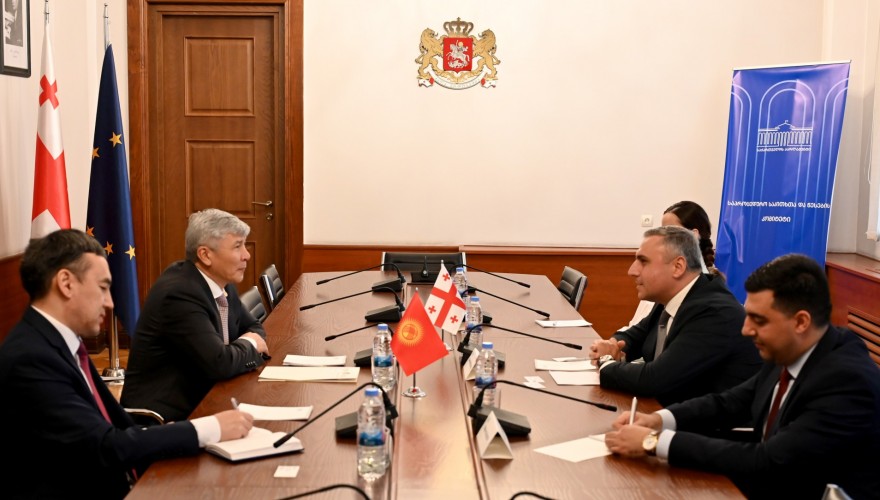 David Matikashvili met with the Ambassador of Kyrgyzstan