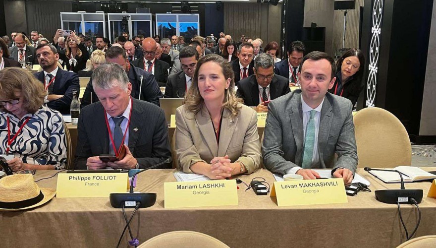 Parliamentary Delegation participated in the NATO PA session