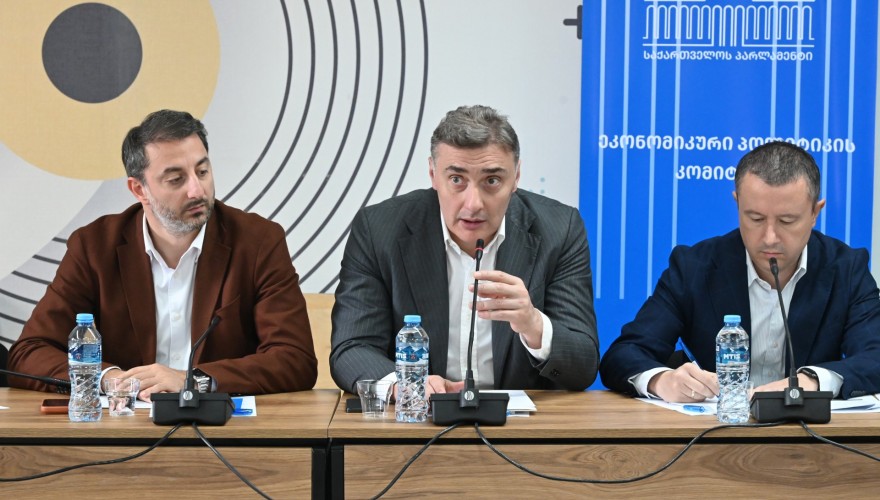 The Economic Policy Committee held an offsite meeting in Kaspi municipality