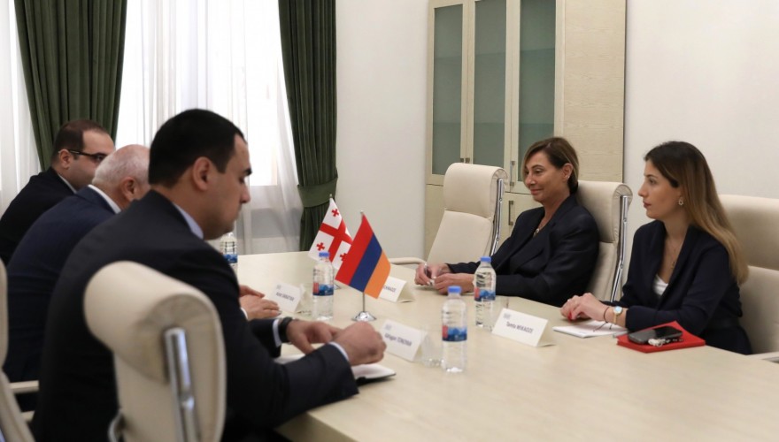Eka Chichinadze met with the Ambassador of Armenia