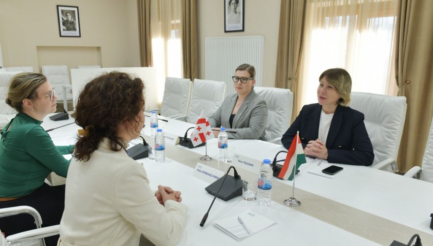 Nino Tsilosani met with the Ambassador of Hungary