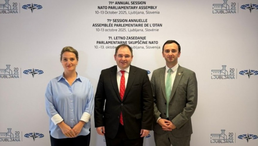 The Parliamentary Delegation participates in the NATO PA Annual Session in Slovenia