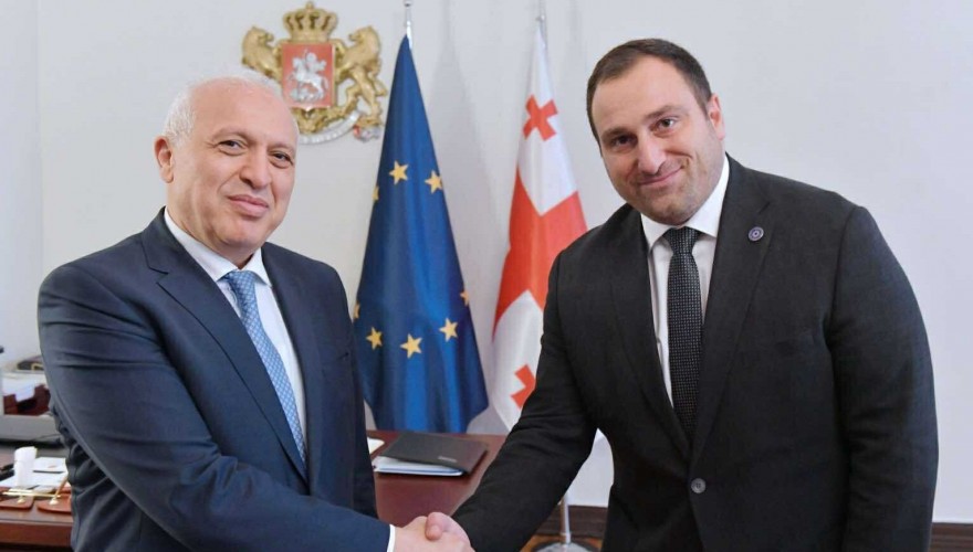 Irakli Kirtskhalia met with the Ambassador of Armenia