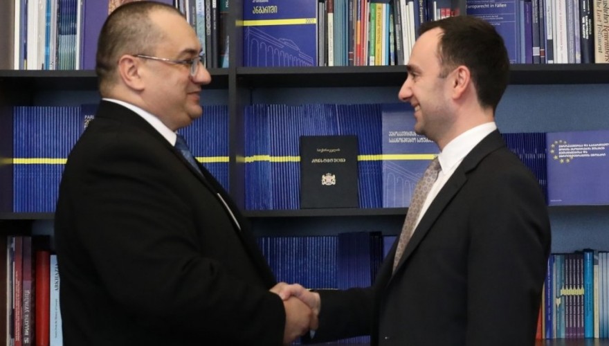 Levan Makhashvili met with a member of the Foreign Affairs Committee of the European Parliament