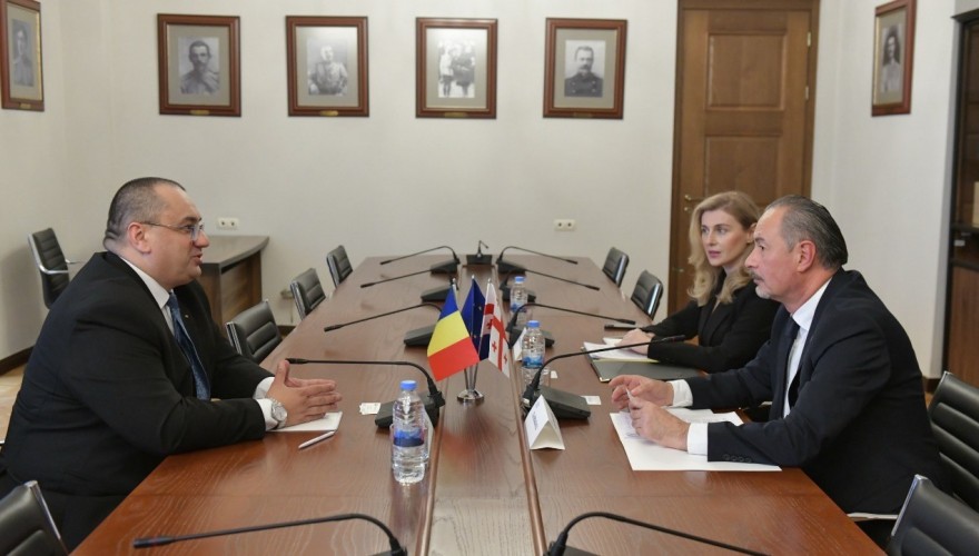 გია ბენაშვილი ევროპარლამენტის წევრს შეხვდა