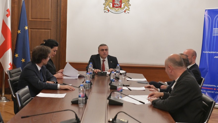 The Procedural Issues Committee approved the recognition of the Powers of MP for Zurab Kadagidze as a substitute for David Kodua