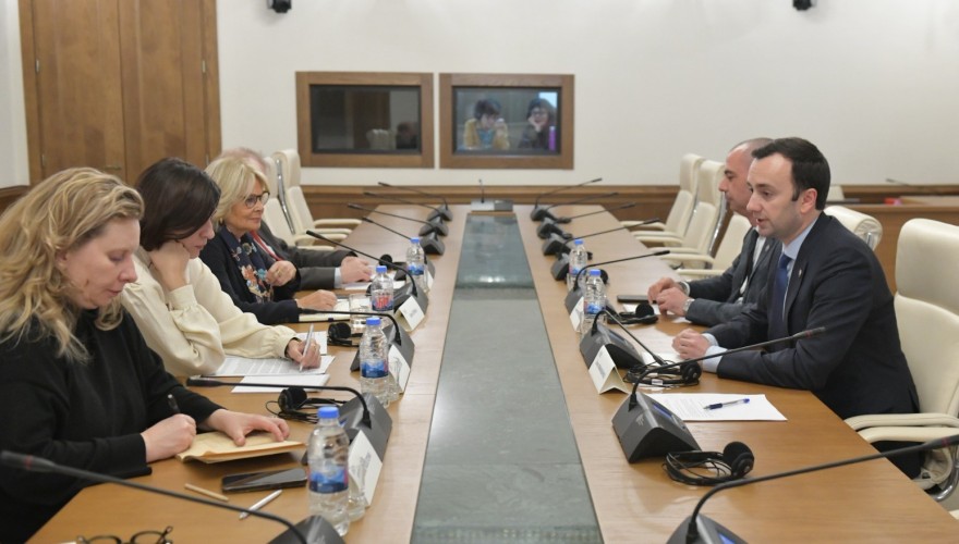 The Faction “Georgian Dream” met with the PACE Monitoring Committee co-rapporteurs