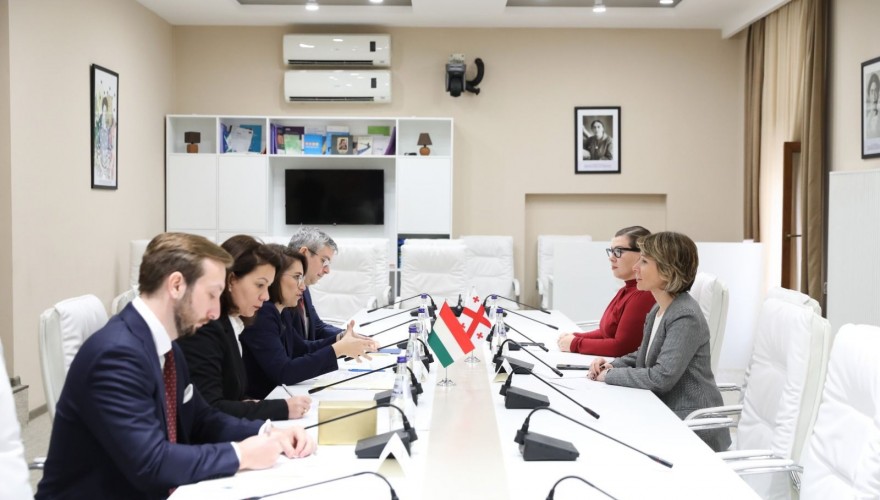 Nino Tsilosani met with the State Secretary for Bilateral Relations of Hungary, Boglárka Illés