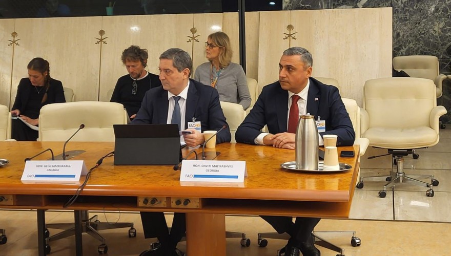 Gela Samkharauli and David Matikashvili participated in the preparatory meeting of the UN Food and Agriculture Organization Global Parliamentary Summit