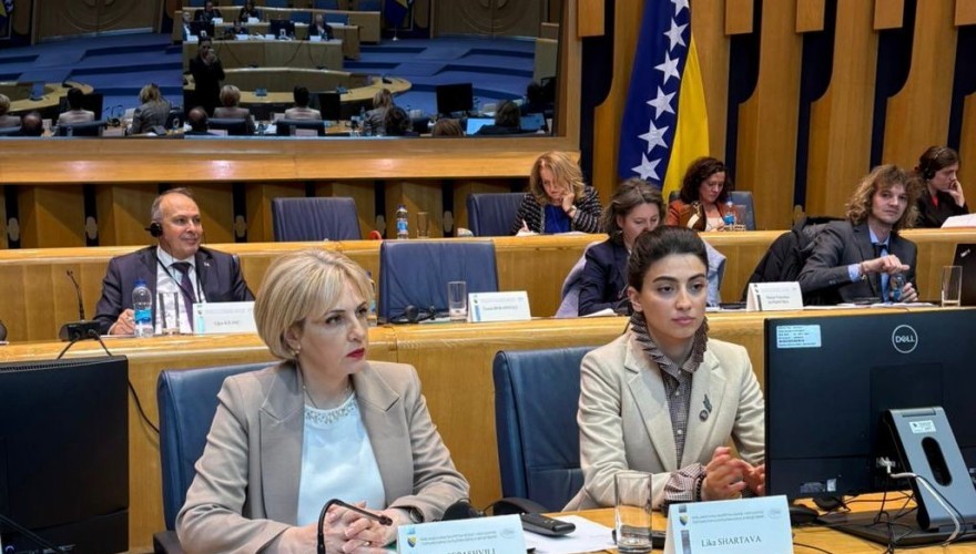 The EU Integration Committee members participated in the Parliamentary Conference of the EU candidate states