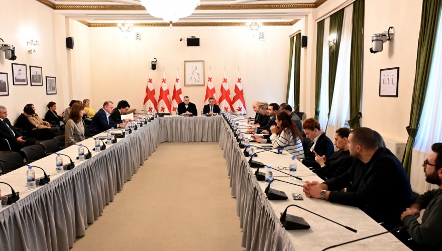 Zurab Kadagidze elected as the Deputy Chair of the Human Rights and Civil Integration Committee