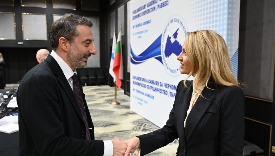 Irakli Mezurnishvili participated in the PABSEC Standing Committee sitting