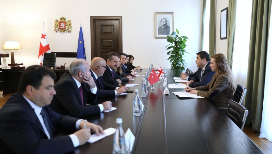 შალვა პაპუაშვილი თურქეთის რესპუბლიკის დიდი ეროვნული ასამბლეის დელეგაციას შეხვდა