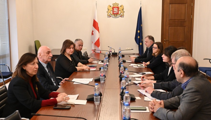 ვლადიმერ კახაძემ სააქციზო პოლიტიკასთან დაკავშირებით პარლამენტში შეხვედრა გამართა