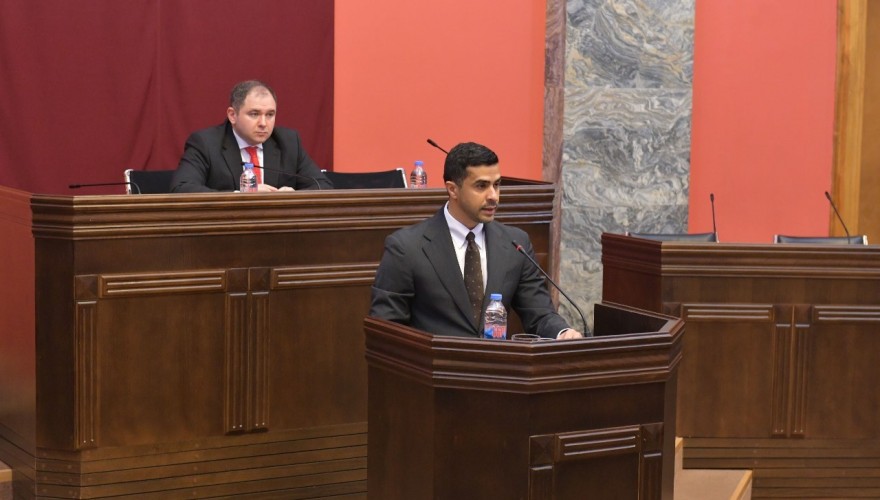 The Foreign Relations Committee heard the Ambassador of UAE to Georgia