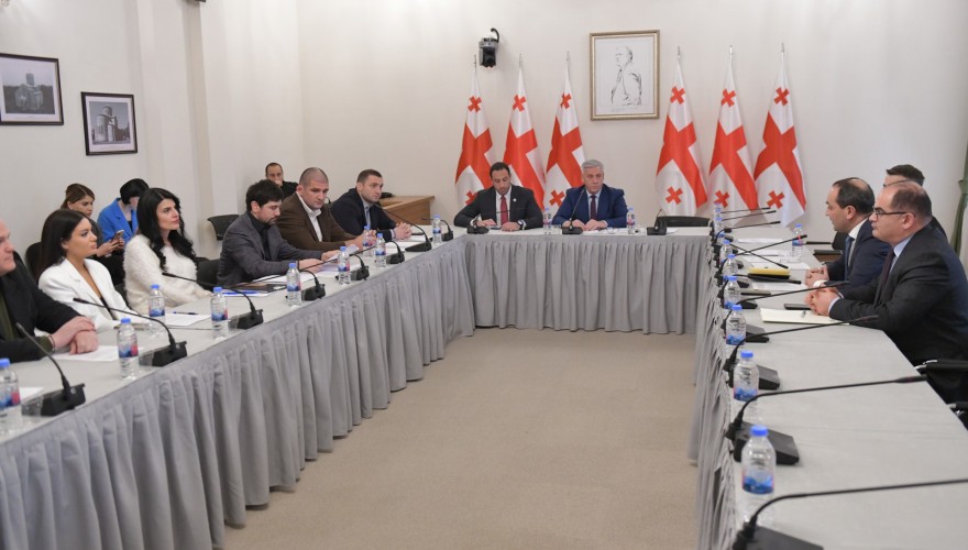 სპორტის კომიტეტმა უმაღლესი განათლების რეფორმასთან დაკავშირებული კანონპროექტთა პაკეტი პირველი მოსმენით განიხილა