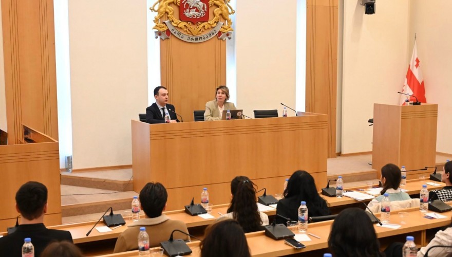 Nino Tsilosani and Giorgi Chakvetadze met with Georgian and Ethnic Minority Students