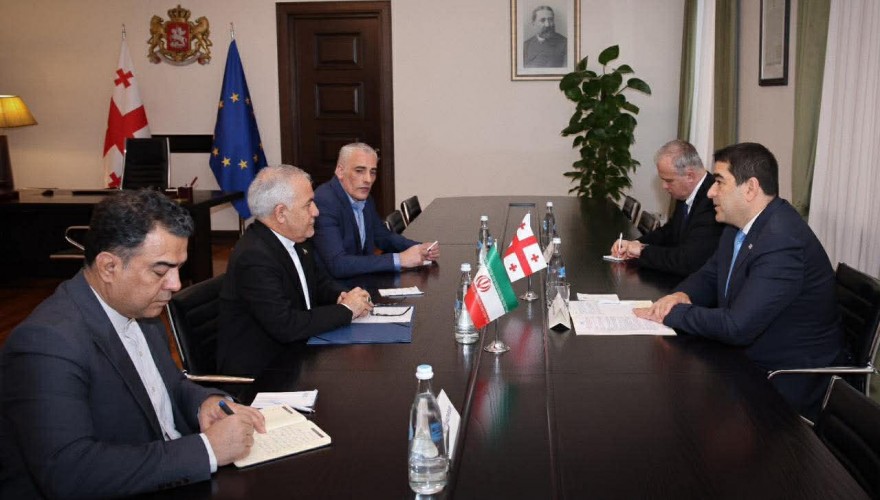 The Speaker of the Parliament of Georgia, Shalva Papuashvili, Held a Farewell Meeting with the Ambassador of Iran