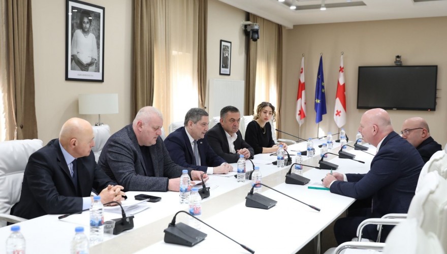 Gela Samkharauli Held Working Meeting on Amendments to the Law “On Vine and Wine”