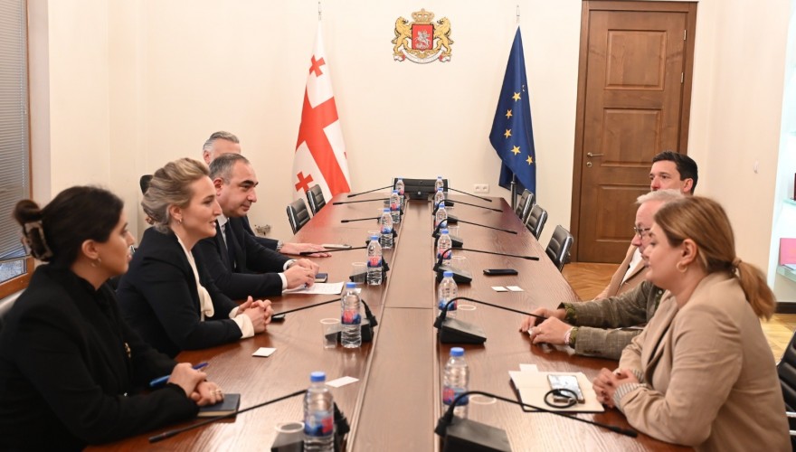 Mariam Lashkhi, Victor Sanikidze and Vladimir Bozhadze met with the representatives of the International Federation of Physical Education and Sports (FIEPS)