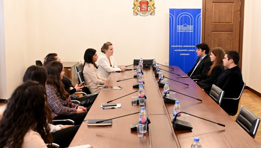 მარიამ ლაშხი და ლიკა შარტავა ახალგაზრდული ორგანიზაციის, „თავისუფალი თაობა“ წევრებს შეხვდნენ
