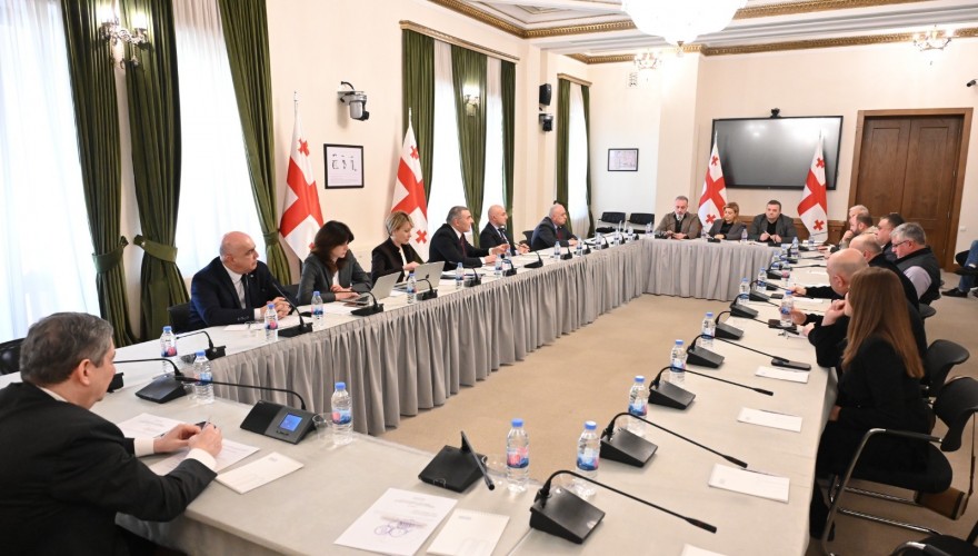 The Interim Commission of the Parliament of Georgia Studying the Structure of Price Formation of Food Products, Medicines and Fuel, heard the Producers of Fruit Products and Juices