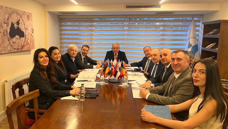 Irakli Mezurnishvili participates in the PABSEC Budget and Audit Commission session