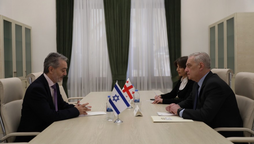 Giorgi Volski met with the Ambassador of Israel