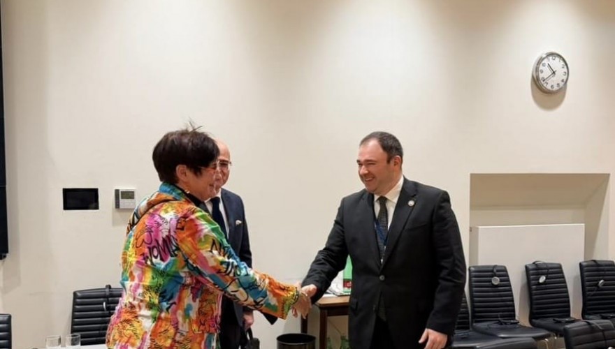 ნიკოლოზ სამხარაძე ევროპის საბჭოს საპარლამენტო ასამბლეის პრეზიდენტს შეხვდა