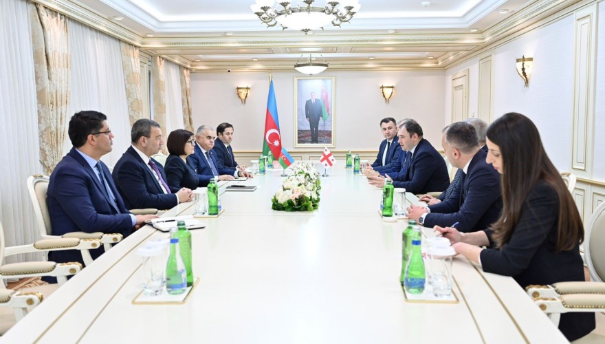 Nikoloz Samkharadze Met with the Speaker of the Milli Majlis of Azerbaijan