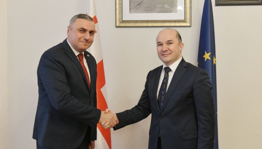 დავით მათიკაშვილი ტაჯიკეთის რესპუბლიკის ელჩს შეხვდა