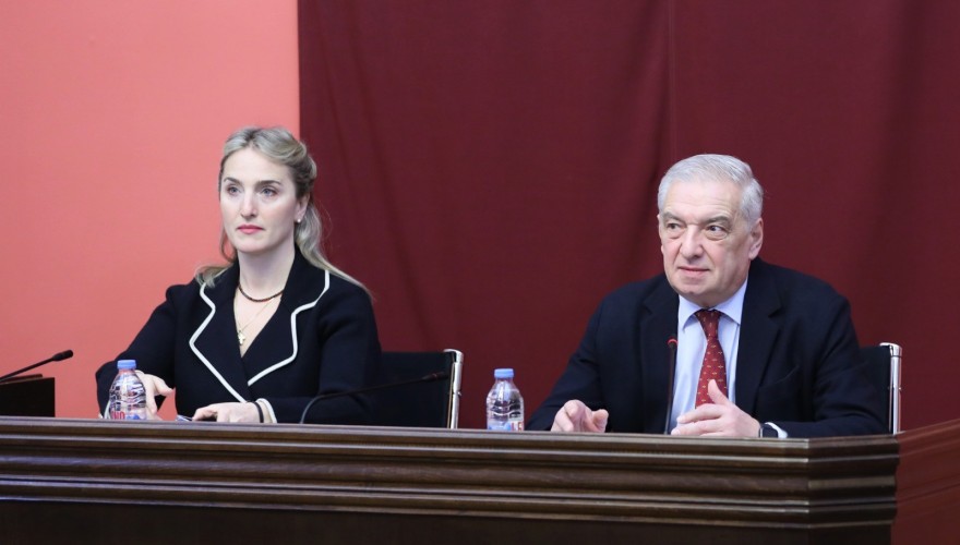 Joint sitting of the Education, Science and Youth Affairs Committee and the Interim Commission on Territorial Integrity Restoration and De-Occupation Held at Parliament