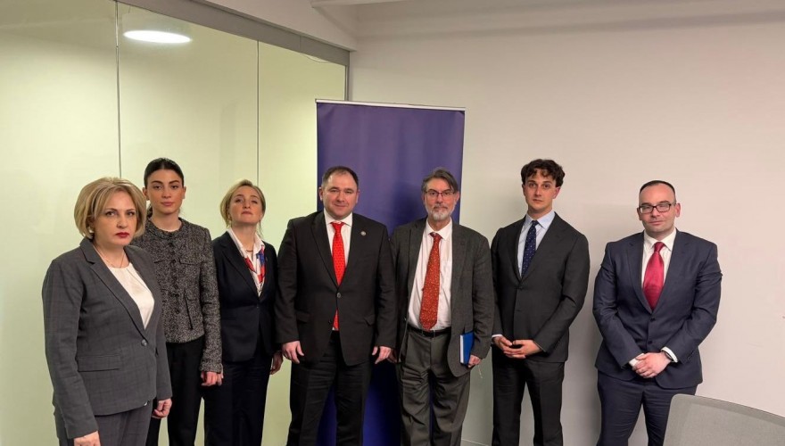 Parliamentary Delegation of Georgia Met with Director of the Analytical Center “Quincy Institute”
