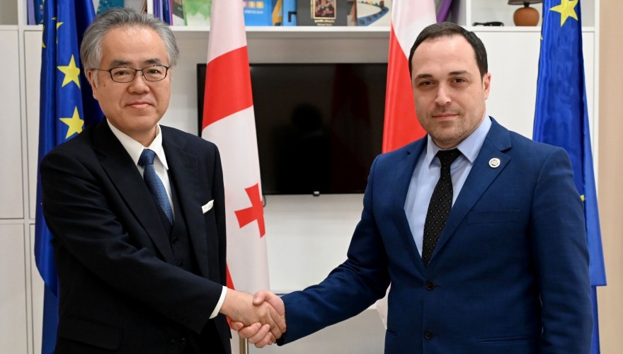 გიორგი გაბუნია იაპონიის ელჩს შეხვდა