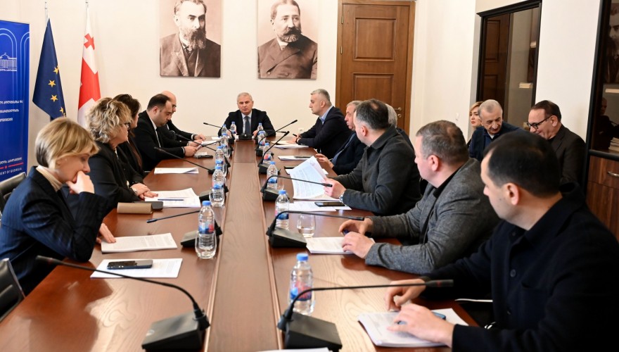 Regional Policy and Self-Government Committee Discussed Ratification Documents